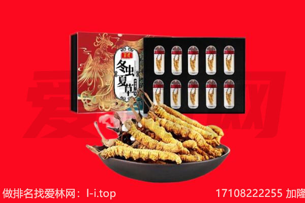 百色回收虫草.jpg
